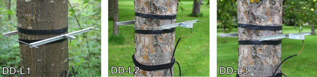 直徑生長測(cè)量儀