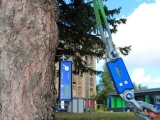 TRU樹木雷達、Picus 3和TreeQinetic樹木拉伸測試儀落戶長春市園林植物保護站