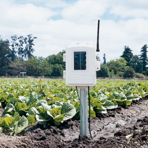 6345CS無(wú)線(xiàn)土壤溫濕度監(jiān)測(cè)站